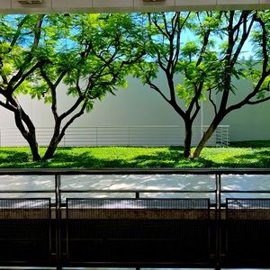 Meet your Posher, Zuo